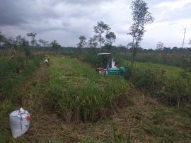 KELOMPOK TANI MASKAP MANFAATKAN BANTUAN DARI DINAS PERTANIAN