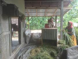 Alat Perontok Padi Tradisional