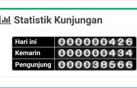 Kunjungan Statistik web