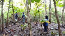 Tim UGM inventarisasi Tanaman di Lahan Pengembangan Kampus UGM