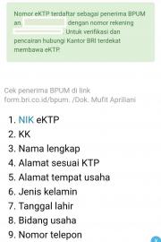 BPUM  untuk UMKM